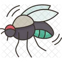 Flies Insect Pest Icon