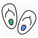 Flipflop  Icon