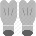Flipper  Icon