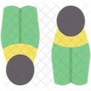 Flippers  Icon