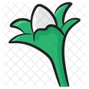 Floco De Neve Galanthus Natureza Icon