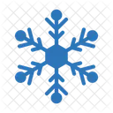 Neige Flocon Glace Icon