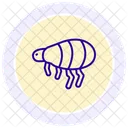 Floh Insekt Springen Symbol
