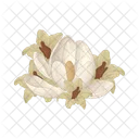 Flor Natureza Planta Icon