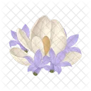 Flor Floral Naturaleza Icon