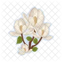 Flor Natureza Planta Icon