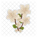 Flor Natureza Planta Icon