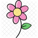 Flor Floral Florescer Icon