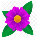 Astra Folha Flor Ícone