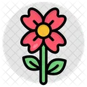 Flor Flor Flor Ícone