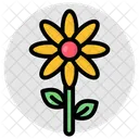 Flor Flor Flor Ícone