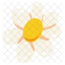 Flor Estetica Sol Icono