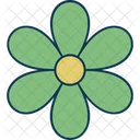 Flor Margarida Floral Icon