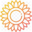 Flor Girasol Helianthus Icon