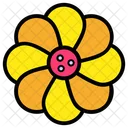 Margarida Flor Flor Icon