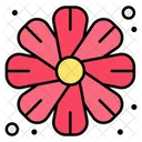 Flor Floracion Floral Icono