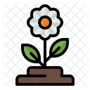 Flor Floral Florecer Icono