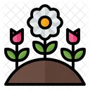Flor Floral Florecer Icono