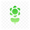 Flor Jardin Planta Icon