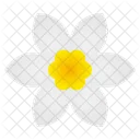 Flor Florecer Primavera Icon