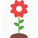 Flor Planta Floral Icono