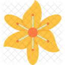 Flor Fresia Decoracao Ícone