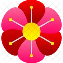 Flor Flor Rosa Clavel Icono