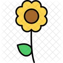 Flor Planta Floral Icono