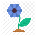 Flor Hoja Floral Icon