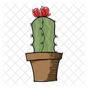 Flor de cactus  Icono