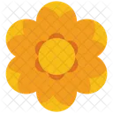 Flor de botão de ouro  Ícone
