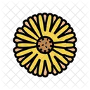Flor de calêndula  Ícone