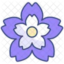 Flor de cerejeira  Ícone