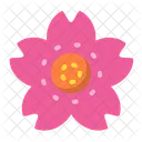 Flor de cerejeira  Icon