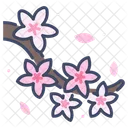 Flor De Cerejeira Flor De Cerejeira Cerejeira Icon
