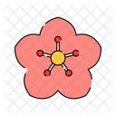Flor De Cerezo Sakura Flor Icono
