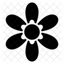 Flor Diseno Floral Flor Decorativa Icon