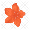 Flor De Laranjeira Icon