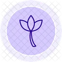 Loto Flor Simbolo Icono