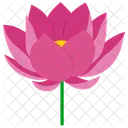 Flor De Loto Flor Narciso Icono