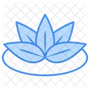 Flor De Loto Icono