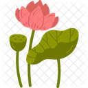 Loto Flor Florecer Icono