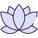Flor De Loto Flor Loto Icono