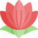 Flor De Loto Flor Loto Icono