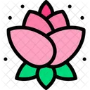 Flor de loto  Icono