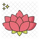Flor De Loto Flor Loto Icono
