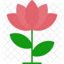 Flor De Loto Loto Flor Icono