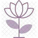 Flor De Loto Loto Flor Icono