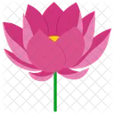 Flor De Lotus Flor Narciso Icon