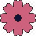 Flor De Margarita Comun Flor De Margarita Margarita Icono